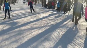 Тольятти 2025 атмосфера марафона.