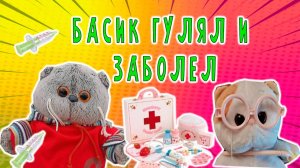 БАСИК ГУЛЯЛ ЗИМОЙ И ЗАБОЛЕЛ. КТО ЕГО ВЫЛЕЧИТ?