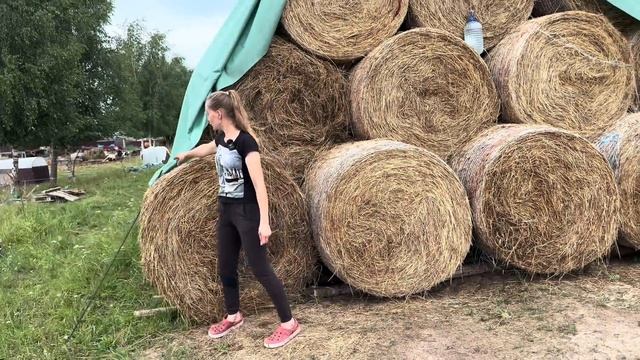 Сколько рулонов собрали с первого укоса? Сложили в скирду и накрыли флисом! Хранение сена на ферме! смотреть онлайн