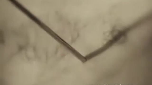 Мирин Дажо видео сверхспособности смотреть феноменальные способности человека