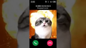 комару битбоксит 15 минут