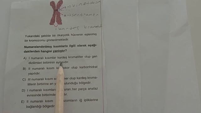 MİTOZ 2 смотреть онлайн