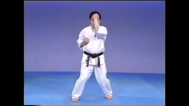 Kyokushin 101: Seiken Jodan Uke