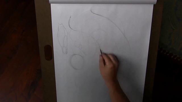 Drawing Fundamentals. Phase 1