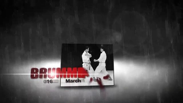 International karate seminar with Kagawa Shihan