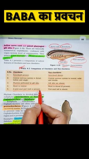 Characterstick Of Chordeta● Baba का प्रवचन 80■ NEET 2023 ● Dr. Hariom Gangwar смотреть онлайн