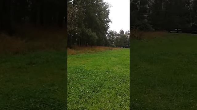 Крупные основные покупки для малыша смотреть онлайн