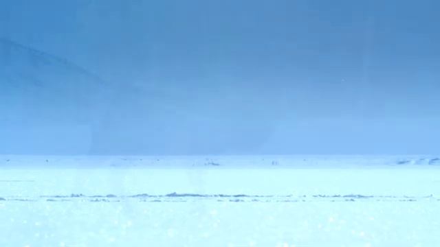 Animals And Snowy Landscape