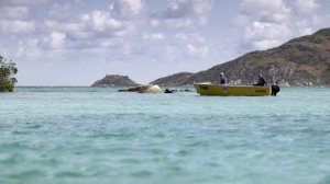 Большой Барьерный риф с Дэвидом Аттенборо 1 серия «Строители» (документальный сериал, 2015)