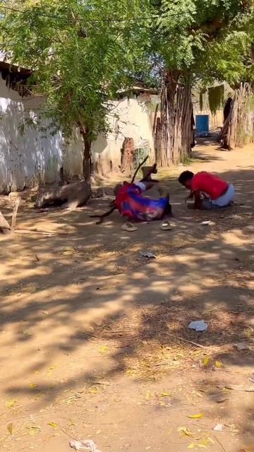 Прикол с пауком (юмор).mp4 смотреть онлайн