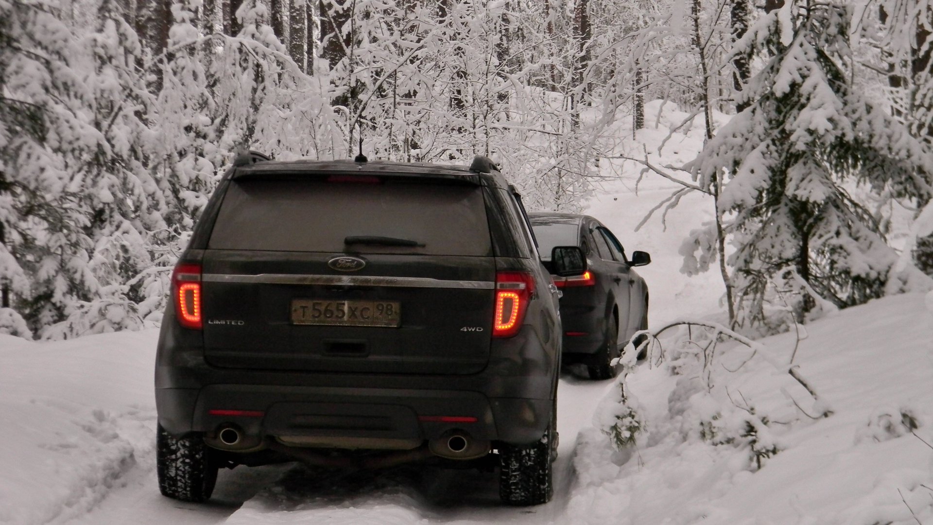 Зимняя прогулка в Линдуловской роще. (Архив 2021 год.) смотреть онлайн