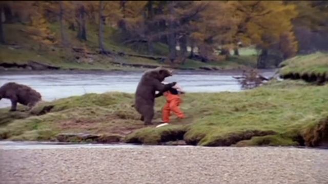 Man Fighting Bear for Tastiest most tender Salmon TV Commercial John West | 2000's UK TV ADVERT смотреть онлайн
