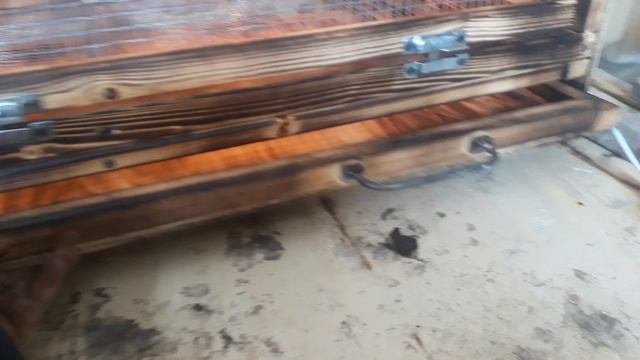 Брудер своими руками