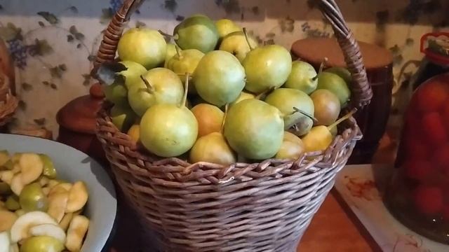 В гостях у Шолохова смотреть онлайн