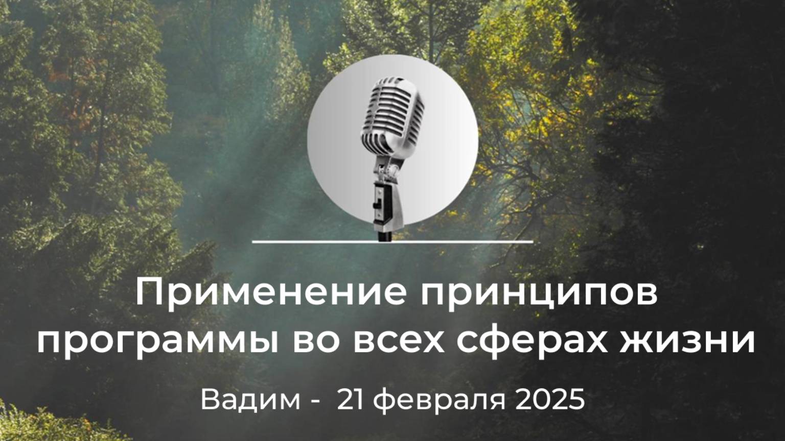 Спикерская АНЗ "Применение принципов программы во всех сферах жизни" Вадим, 21 февраля 2025 года смотреть онлайн
