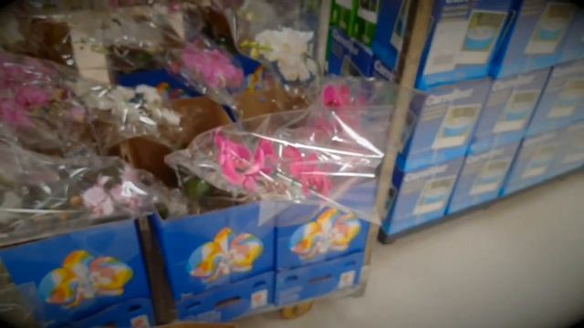 Bora lá p Carrefour?🏃🌸 RIO DE JANEIROOOOOO 😱🌈🌈🌈🌈🌈🌈🌈🌈🌈🌈 смотреть онлайн