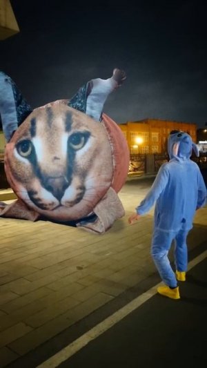 Я И ШЛЕПА В РЕАЛЬНОЙ ЖИЗНИ ГУЛЯЕМ #Shorts