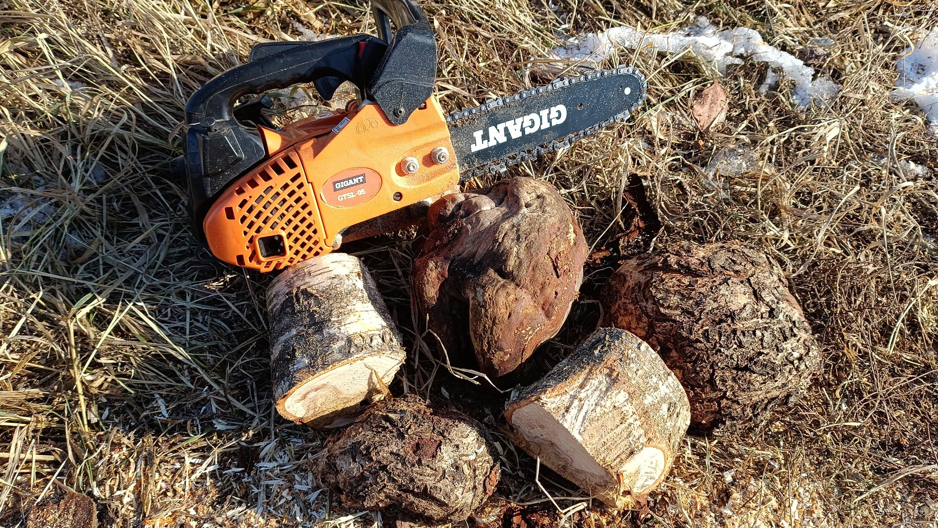 драгоценная сия древесина. распилил сувель на заготовки посмотрим как выглядит берёзовая капа внутри смотреть онлайн