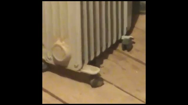 Мышиный разбор смотреть онлайн