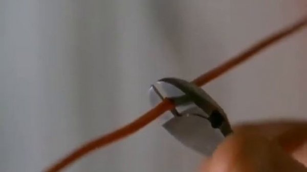 Честный детектив