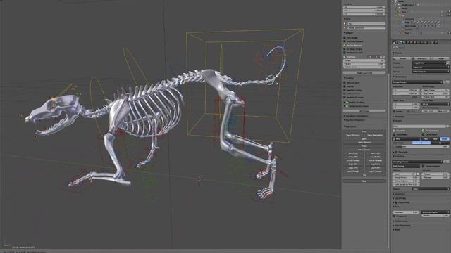 X-Muscle System Dog skeleton demo смотреть онлайн