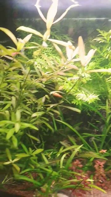 8 листопада 2023 р. смотреть онлайн