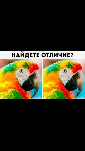 пиши, где нашёл. смотреть онлайн