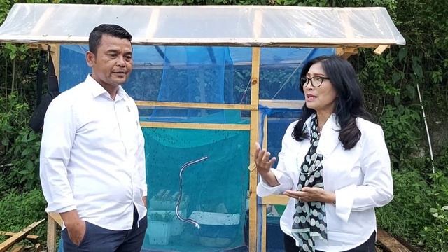 Langkah Cerdas Pemberdayaan Masyarakat melalui Budi Daya Maggot BSF di Samosir смотреть онлайн