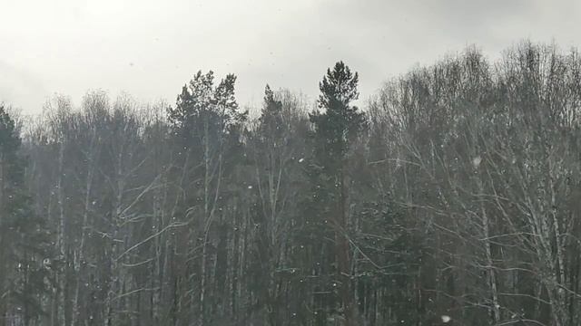 Прощённое воскресенье 2 марта 2025 года. Просите прощение от сердца 🧡, а не пересланной открыткой! смотреть онлайн