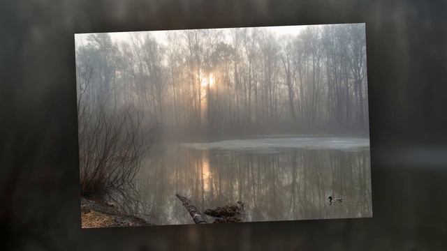 В природе столько нежности весной