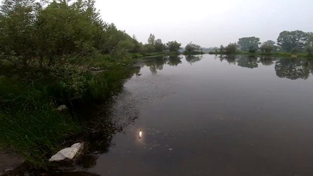 Прокатил девушку на СПОРТБАЙКЕ.Водитель ТРАМВАЯ. смотреть онлайн