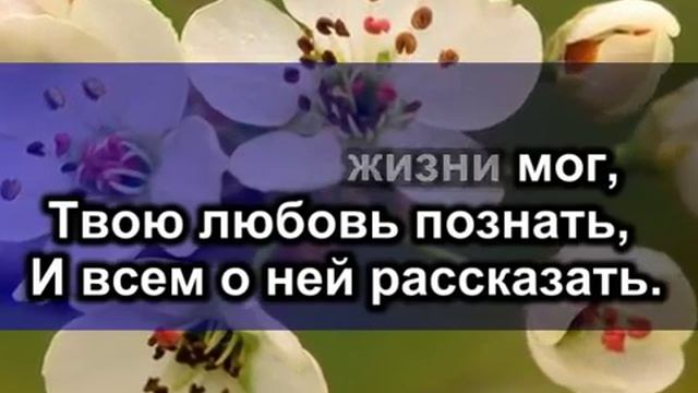 Жизнь посвящаю Тебе(со словами) — копия смотреть онлайн