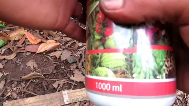 TERBUKTI 95% AMPUH CUMA 1 BOTOL PAKET LENGKAP NEWS PUPUK INDONESIA || PUPUK BUAH SAPROMIX B смотреть онлайн