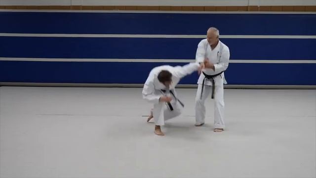 Bassai Sho Bunkai