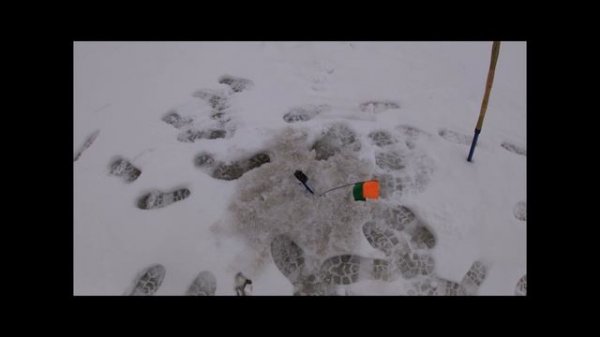 Вуокса, Щучка. 1 марта 2025г.