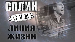 Сплин - Линия жизни аккорды 🎸 кавер табы как играть на гитаре