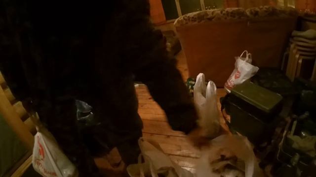 Фокино отчет за 1 день,Густера стайная смотреть онлайн