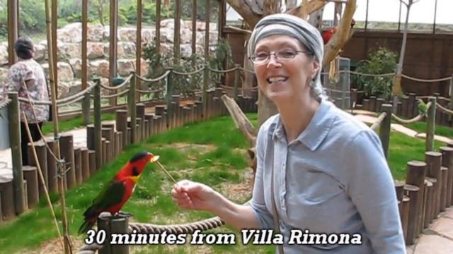Gan Garoo - Australian Zoo - at Kibbutz Nir David near Beit Shean Israel смотреть онлайн