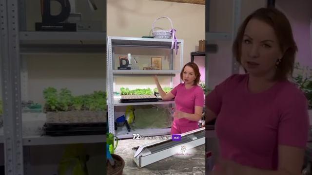 Фитолампа — главный помощник в выращивании рассады! смотреть онлайн