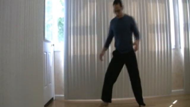 Martial Arts Front Stances Or Forward Stances How To: Karate, Taekwondo, Kungfu Front Stance