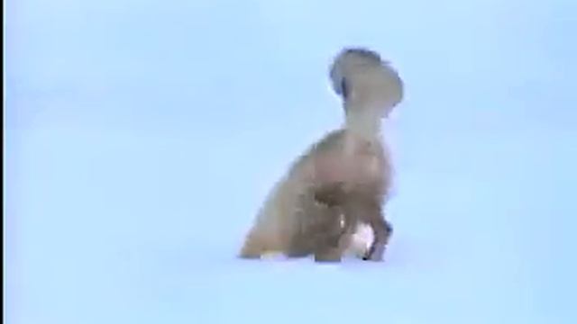 Лис.mp4 смотреть онлайн