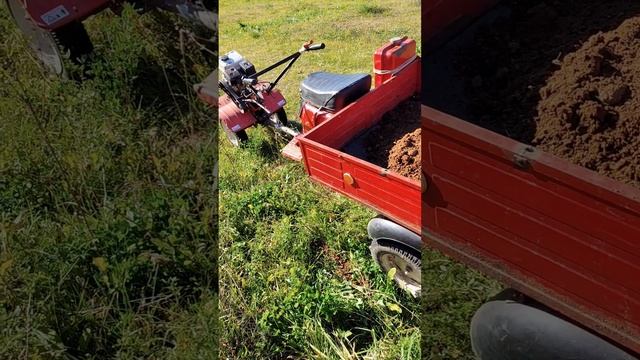 Первый помощник человека 21 века