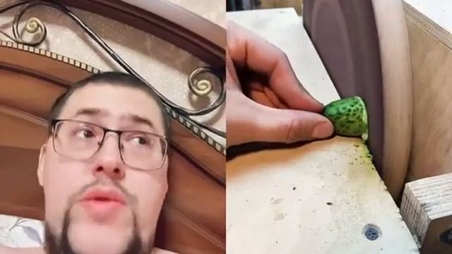 Потеряли огурца🤣🤣🤣