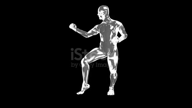 KARATE ART
