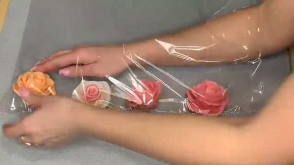 Видео Екатерины Смирновой начало работы на iSealer производства АРДсистемы