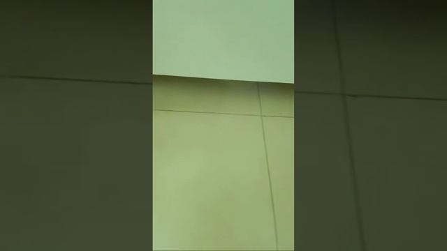 Робот Пылесос Из Али Экспресс Bowai смотреть онлайн