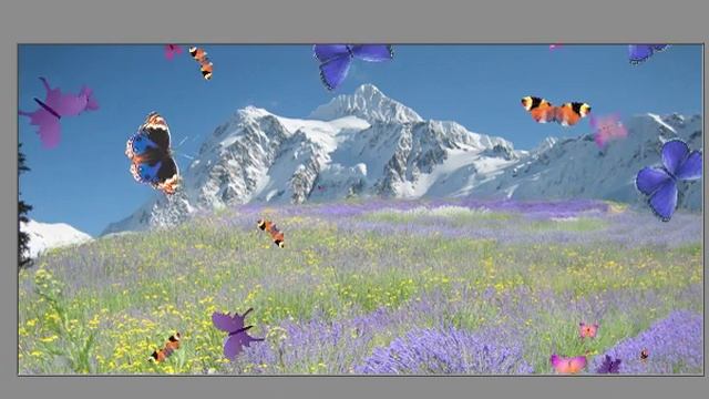 「InDesign CS3」の隠しコマンド смотреть онлайн