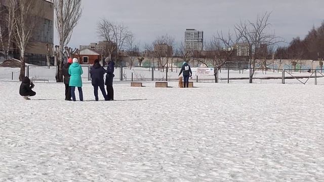 Городские соревнования-2021. Илларионова Е. и лабрадор Леня смотреть онлайн