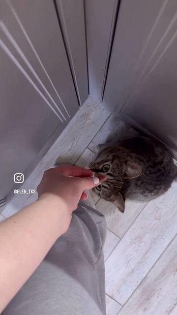 Гречневая лапша с говядиной и овощами в соевом соусе🤤очень вкусно #music#рецепты#пп#вкусно#еда#мем