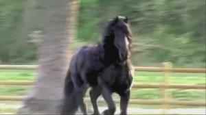 Ферма своими руками с мини-домиком для коровы, животными -  сарай для коров Ферма Животные